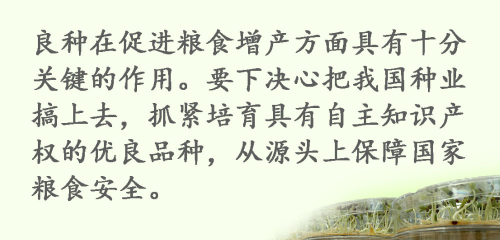 鏡觀·領航丨習近平：這是一件具有戰略意義的大事