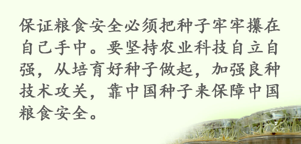 鏡觀·領航丨習近平：這是一件具有戰略意義的大事