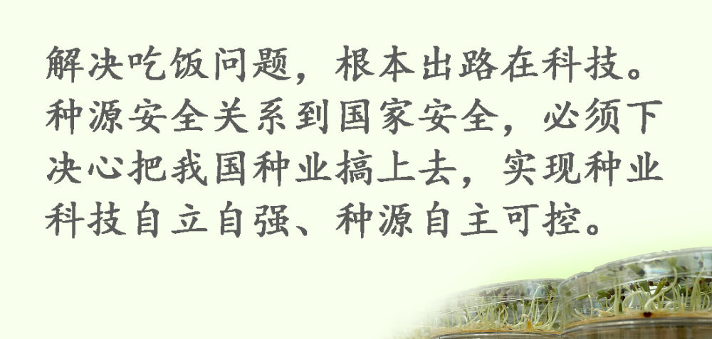 鏡觀·領航丨習近平：這是一件具有戰略意義的大事