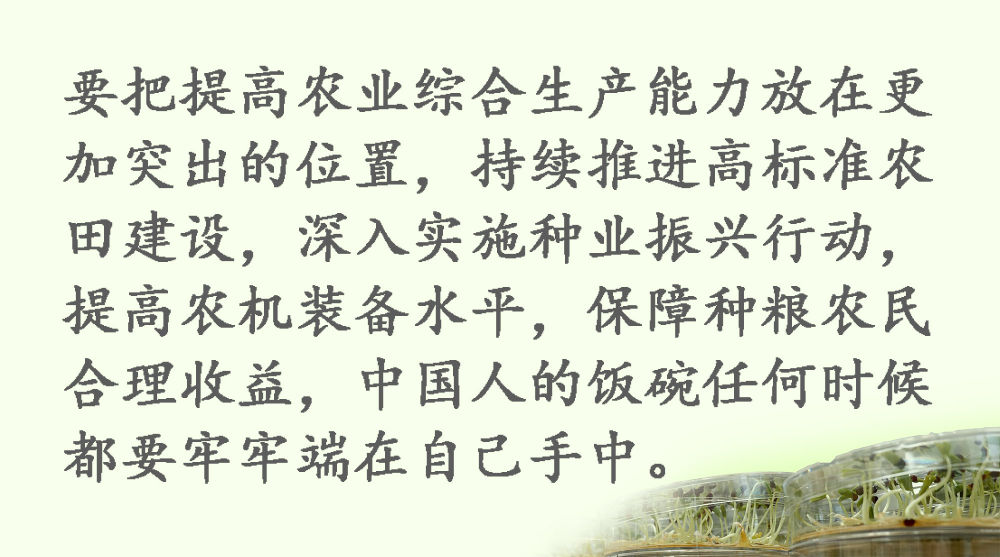 鏡觀·領航丨習近平：這是一件具有戰略意義的大事