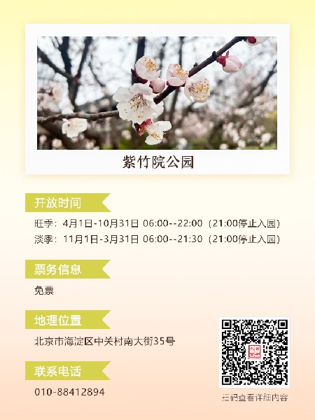 追花指南第六期！杏花雨 楊柳風 北京最美的杏花在這里