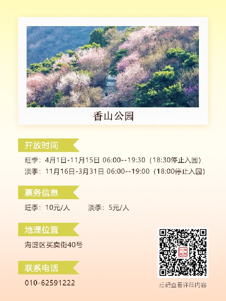 追花指南第六期！杏花雨 楊柳風 北京最美的杏花在這里