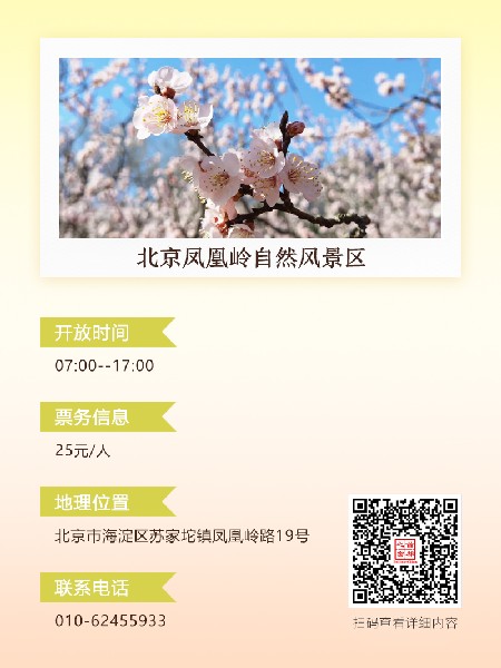 追花指南第六期！杏花雨 楊柳風 北京最美的杏花在這里