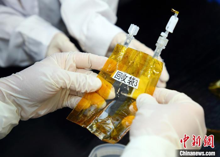 隨神舟十五號(hào)返回地面的空間科學(xué)實(shí)驗(yàn)樣品?！≈锌圃嚎臻g應(yīng)用中心 供圖