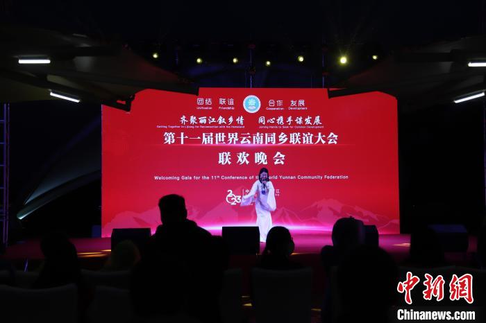 圖為第十一屆世界云南同鄉(xiāng)聯(lián)誼大會舉辦聯(lián)歡晚會。　崔永江 攝