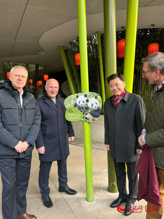 中國駐德國大使吳懇（右二）、柏林市長韋格納（左二）、動物園園長克尼里姆（右一）和監(jiān)事會主席布魯克曼（左一）共同為“夢想”“夢圓”大熊貓紀(jì)念牌揭幕。人民網(wǎng)記者 徐馨攝