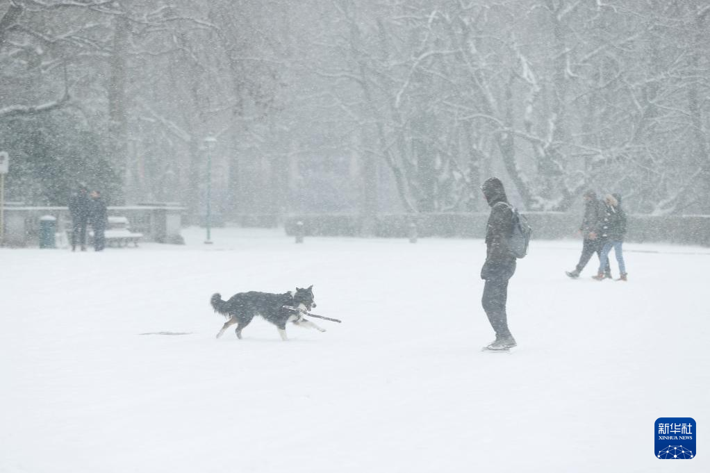 1月17日，在比利時布魯塞爾五十年宮公園，一名男子在雪中與小狗嬉戲。新華社記者 趙丁喆 攝