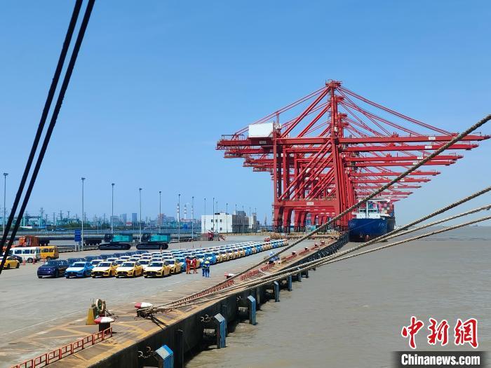 資料圖：國產新能源車在上海外高橋港區海通碼頭“整裝待發”。　浦帆 攝