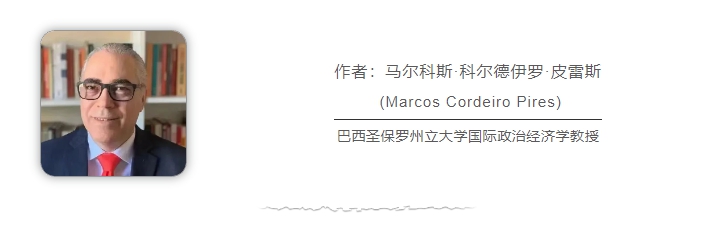 巴西學者：俄烏、巴以沖突再次暴露美西方“雙標”本質