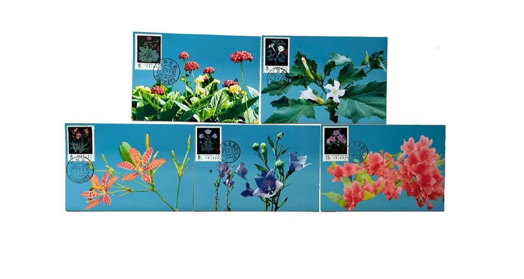 首套藥用植物極限片。第七屆阿聯酋集郵展主辦方供圖