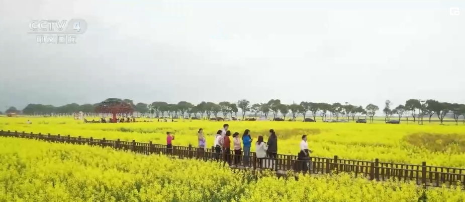 “春日經濟”熱力十足 “賞花+”融合煥新創造發展場景式消費新機遇