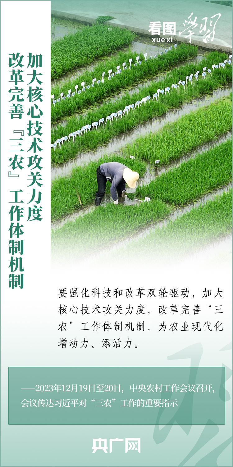 看圖學習丨推廣良田、良種、良法、良機 給農業現代化插上科技的翅膀