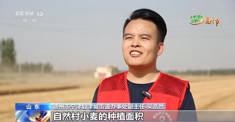 “三夏”生產思維導圖安排上了！還有政府大院等你來“曬”