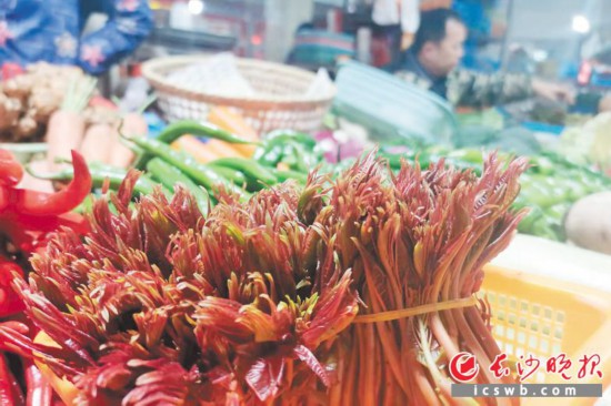 　　農貿市場里鮮嫩的香椿?！　【鶠殚L沙晚報全媒體記者 劉捷萍 攝