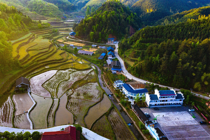會同縣高椅鄉雪峰村的產業路盤旋在綠色的大山之間。田文國攝