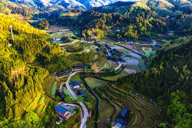 會(huì)同縣高椅鄉(xiāng)雪峰村的產(chǎn)業(yè)路盤旋在綠色的大山之間。田文國(guó)攝