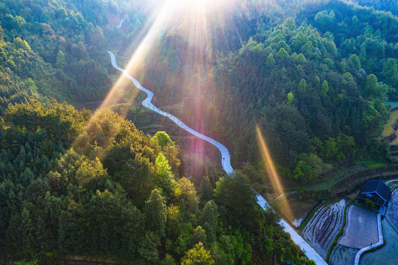 會同縣高椅鄉雪峰村的產業路盤旋在綠色的大山之間。田文國攝
