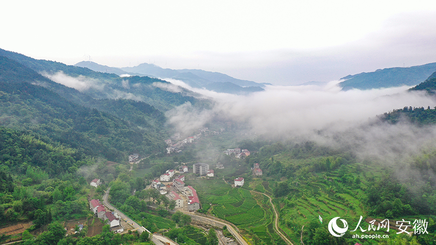 雨后的金寨大灣村，云霧環(huán)繞，宛如一幅田園山水畫(huà)卷。人民網(wǎng) 張俊攝