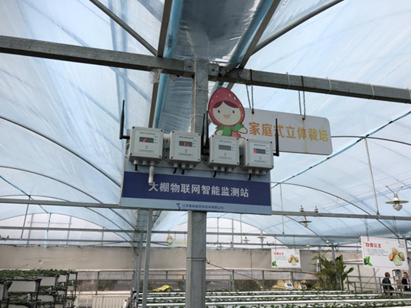 都市四季果園內(nèi)的物聯(lián)網(wǎng)智能監(jiān)測(cè)站系統(tǒng)。東海縣委宣傳部供圖