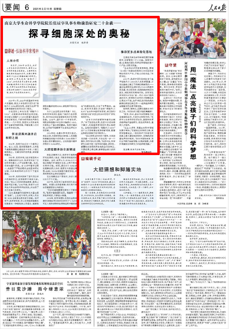 《人民日報(bào)》2025年2月13日6版 版面截圖