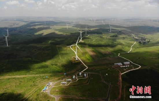 6月28日，河北張家口張北草原上大片風(fēng)力發(fā)電的“風(fēng)車”規(guī)模宏大。 中新社記者 楊艷敏 攝