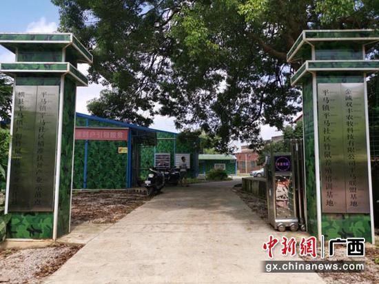 圖為平馬社區竹鼠養殖基地。