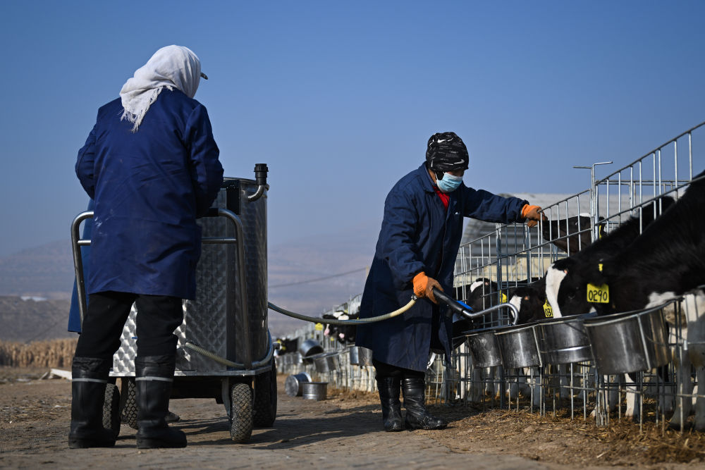 牢牢守住不發生規模性返貧致貧底線——西部脫貧地區“5年過渡期”一線觀察