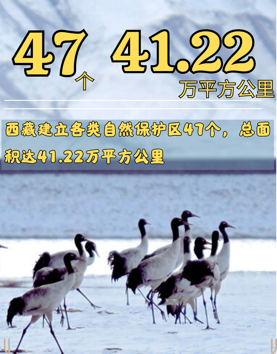 W020250422325147524120.png