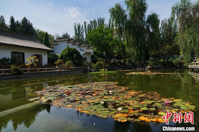 圖為西寧園林植物園秋日風景別有韻味。　馬銘言 攝