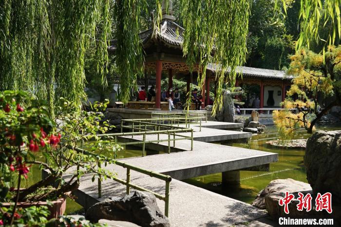 圖為西寧園林植物園秋日風景別有韻味。　馬銘言 攝