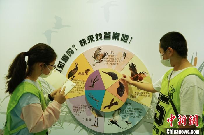 圖為小朋友在青海西寧湟水國家濕地公園科普館內參觀學習?！●R銘言 攝