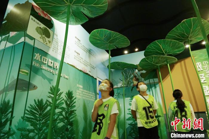 圖為小朋友在青海西寧湟水國家濕地公園科普館內參觀學習。　馬銘言 攝