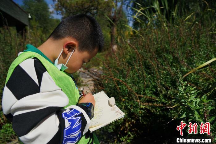 圖為小朋友在青海西寧湟水國家濕地公園內認識植物并進行繪畫?！●R銘言 攝