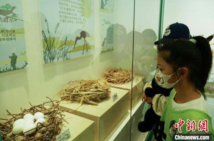 圖為小朋友在青海西寧湟水國家濕地公園科普館內參觀學習?！●R銘言 攝