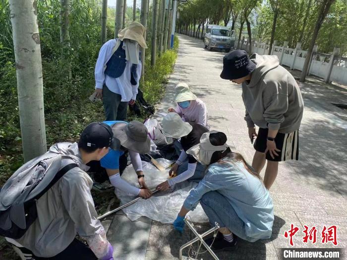 圖為科研人員正在進(jìn)行監(jiān)測(cè)。　西寧湟水國(guó)家濕地公園供圖