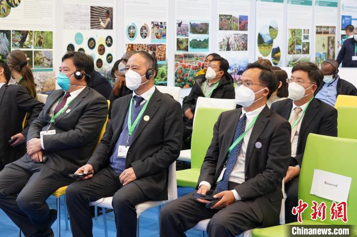 圖為極小種群物種和生物多樣性保護邊會現場?！≡颇鲜×謽I和草原局供圖