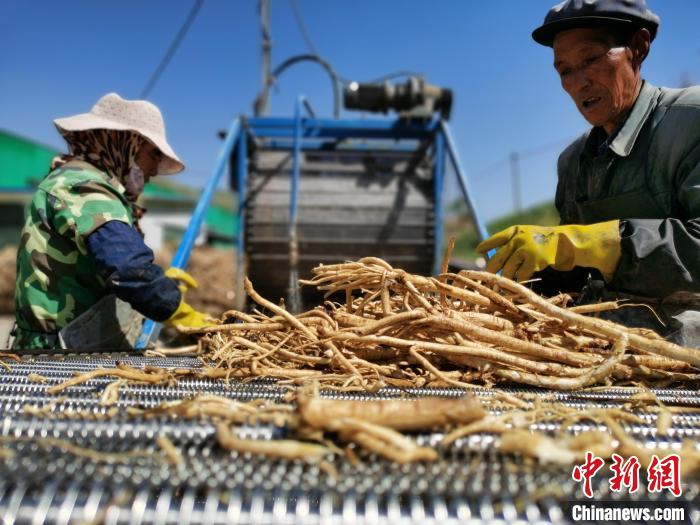 青海首部藏醫醫療機構中（藏）藥臨床應用技術指南發布