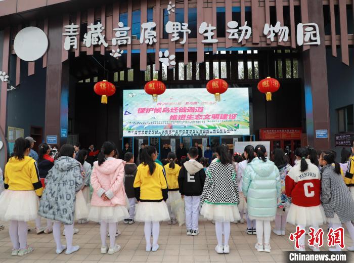 圖為青海省西寧市開展第42屆“愛鳥周”科普宣傳活動。　馬銘言 攝