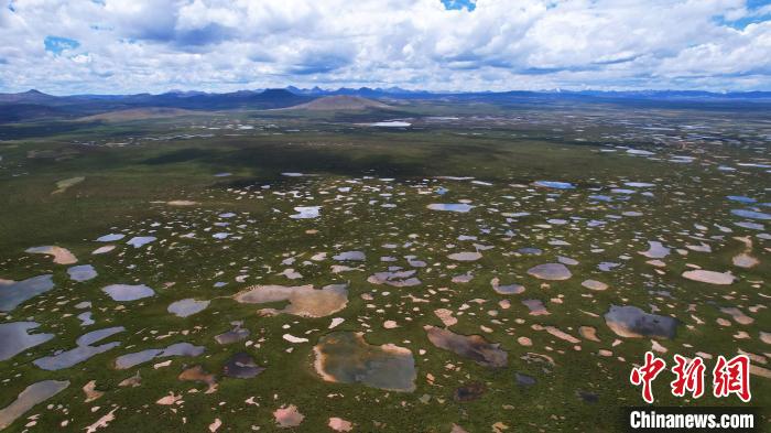 青海整治侵占、污染、破壞濕地類型自然保護地