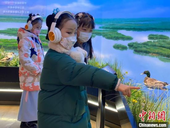 圖為學生在西寧市第一中學濕地科普宣教館內參觀?！±罱瓕?攝