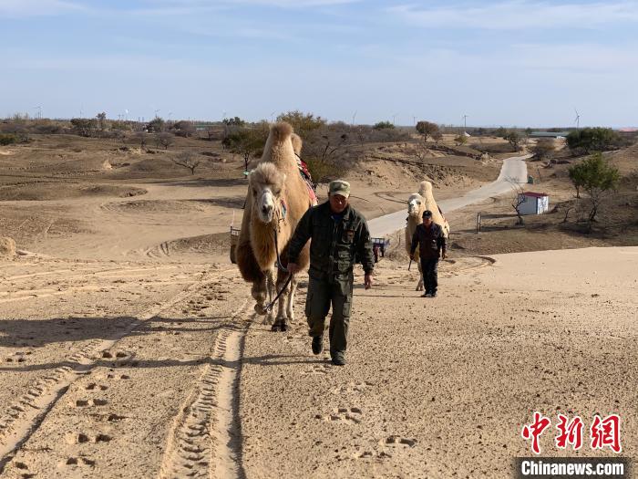 圖為科爾沁沙地中的兩名牽駝人。　奧藍 攝