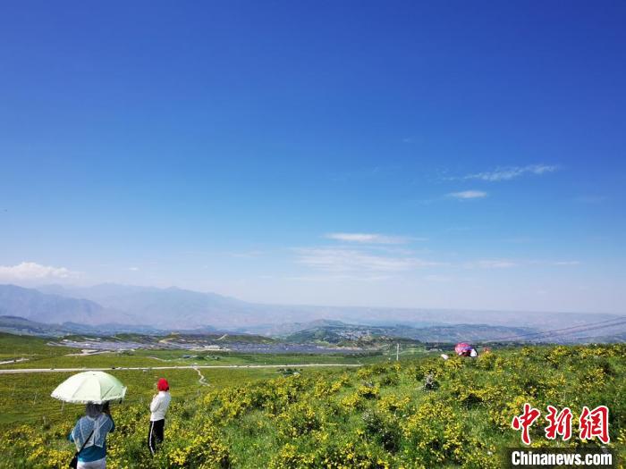 2020年07月07日拍攝于臨夏州積石山縣境內，生態環境逐漸恢復，小黃花開遍山間。(資料圖) 殷春永 攝