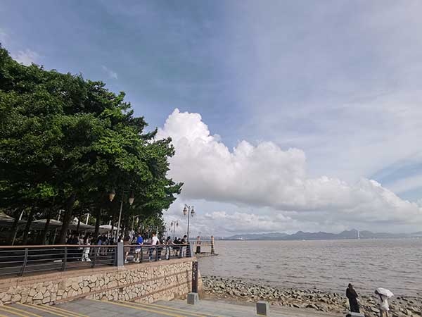 紅樹林灘涂沿線一角。人民網記者 張素玲攝