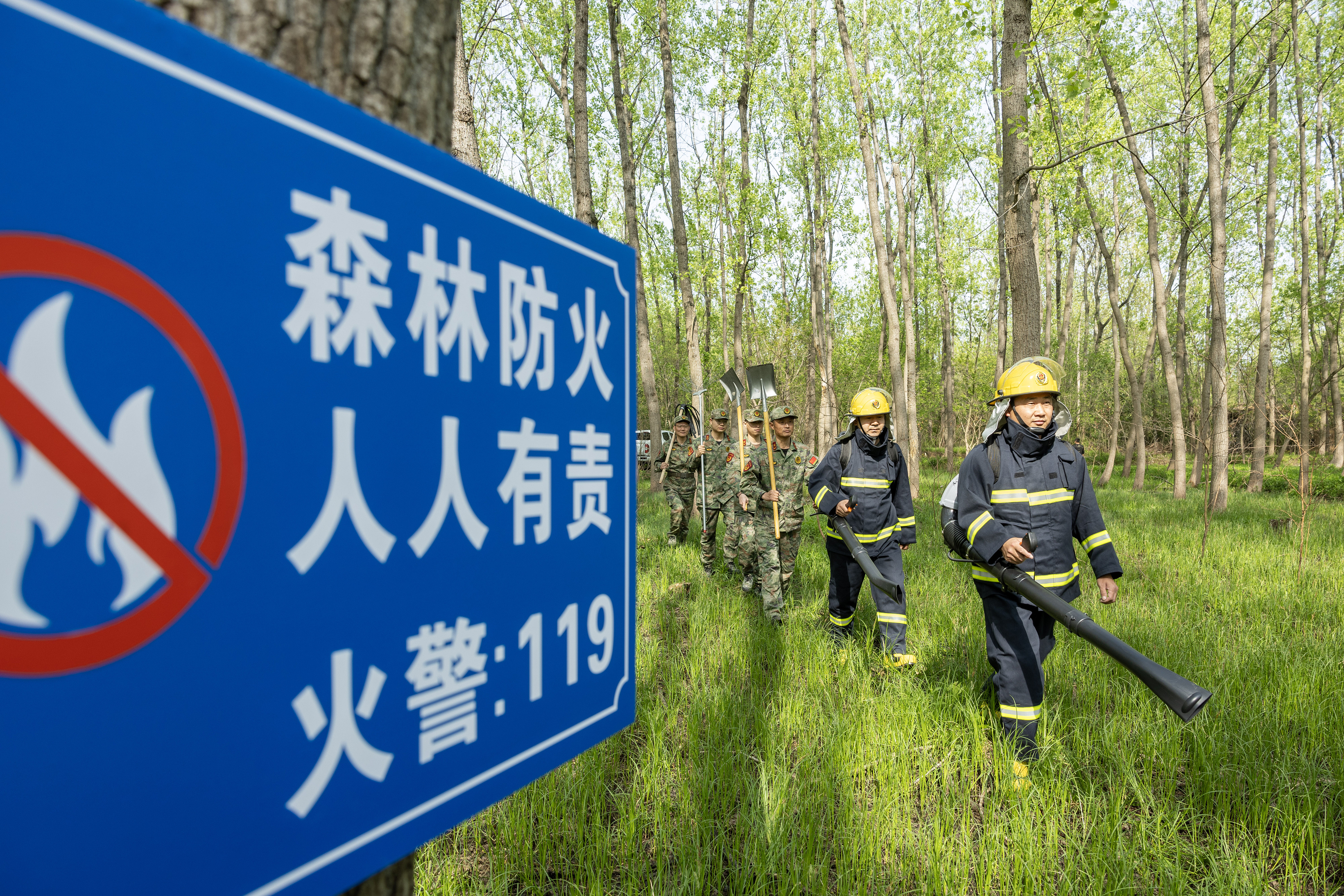 2024年4月9日，合肥市大房郢水庫水源保護地廬陽經濟開發區段，基干民兵正在林間巡查火災隱患。