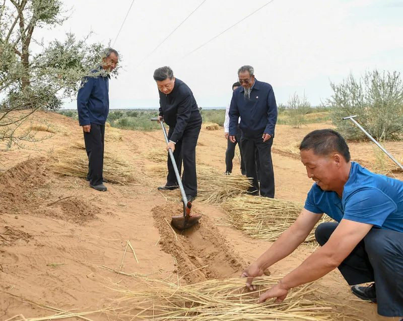 2019年8月21日，習(xí)近平來到甘肅省武威市古浪縣八步沙林場，實地察看當(dāng)?shù)刂紊吃炝帧⑸鷳B(tài)保護等情況。新華社記者 謝環(huán)馳 攝