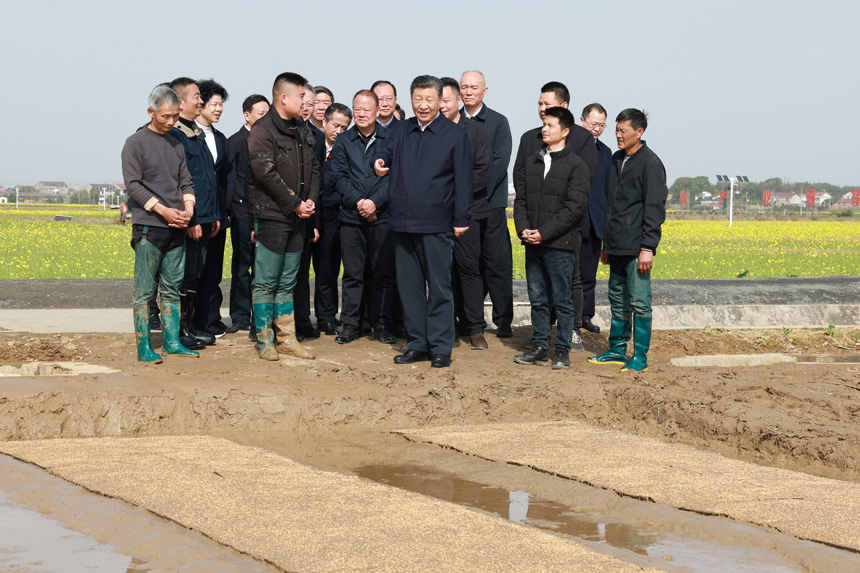 2024年3月18日至21日，中共中央總書記、國家主席、中央軍委主席習近平在湖南考察。這是19日下午，習近平在常德市鼎城區謝家鋪鎮港中坪村走進田間，察看秧苗培育和春耕備耕進展。新華社記者 王曄 攝