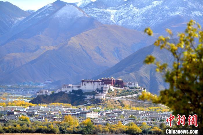 10月24日，雪山、布達拉宮和秋色組成“風景畫”。　江飛波 攝
