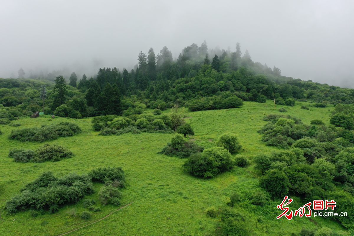 四川九寨溝：生態旅游漸熱