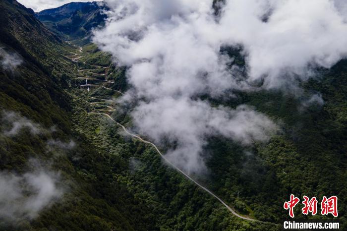 西藏山南勒布溝景區(qū)的盤(pán)山公路被云霧環(huán)繞。　江飛波 攝