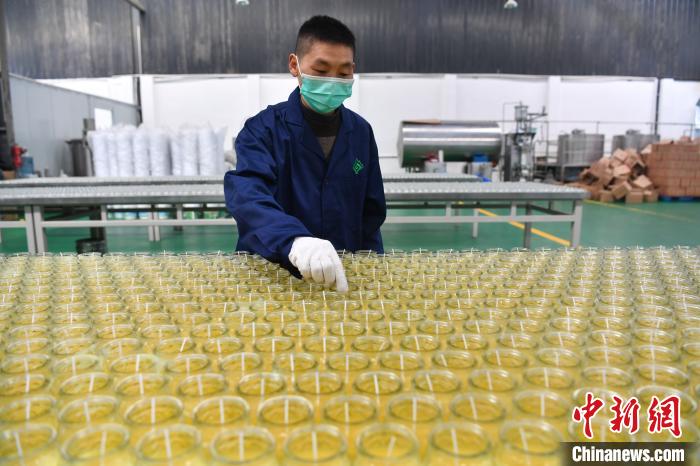 成阿工業園區“復工記”：“飛地經濟”助藏區民眾圓夢